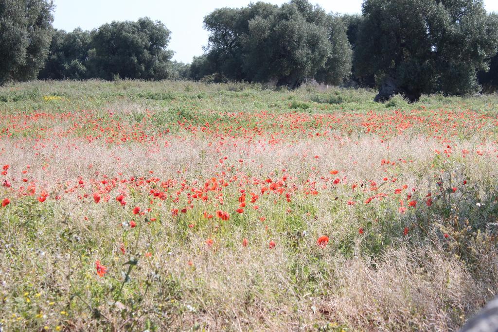 Masseria Valente Ostuni Εξωτερικό φωτογραφία