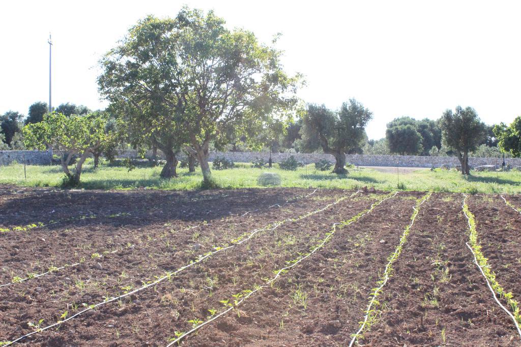 Masseria Valente Ostuni Εξωτερικό φωτογραφία