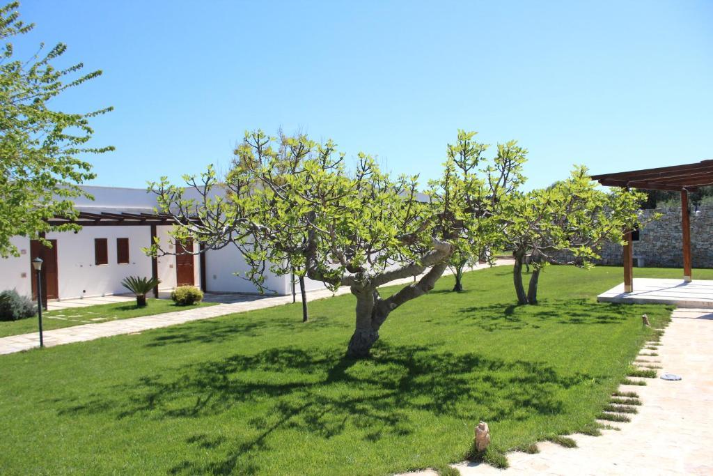 Masseria Valente Ostuni Εξωτερικό φωτογραφία